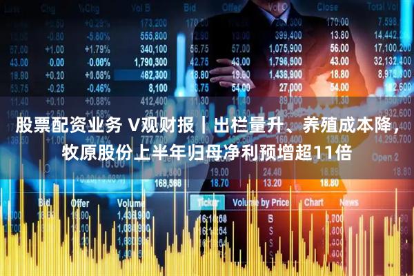 股票配资业务 V观财报｜出栏量升、养殖成本降，牧原股份上半年归母净利预增超11倍